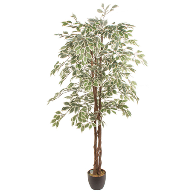 Kunsttaim FICUS 1.80m